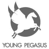 Title details for Young Pegasus Poetry Anthology 2013 by San Antonio Public Library - Available